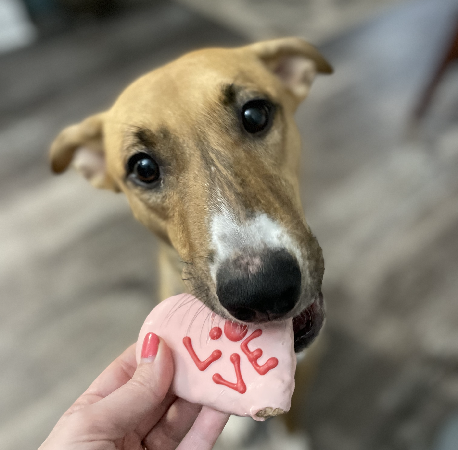 BrittanyLingk.com, DIY, mom blog, crafter, art projects, tutorials